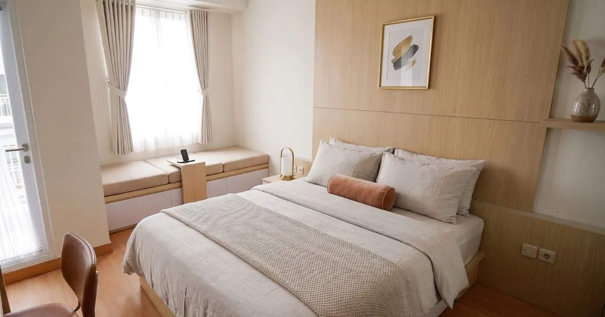Pinus-2 BR C